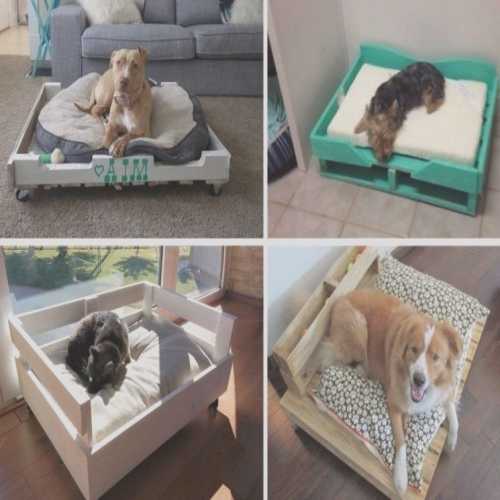 Cómo hacer camas para perros