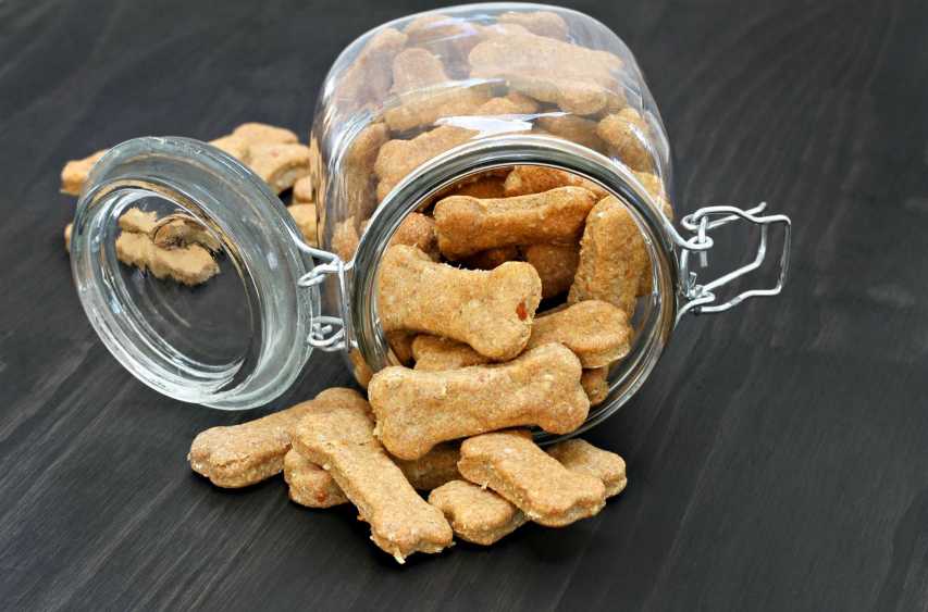 Cómo hacer snacks ...:  5. Asegúrate de cocinar los snacks para perros naturales en porciones pequeñas, ya que la mayoría de los perros son mucho más sensibles a los ingredientes naturales que a los artificiales.