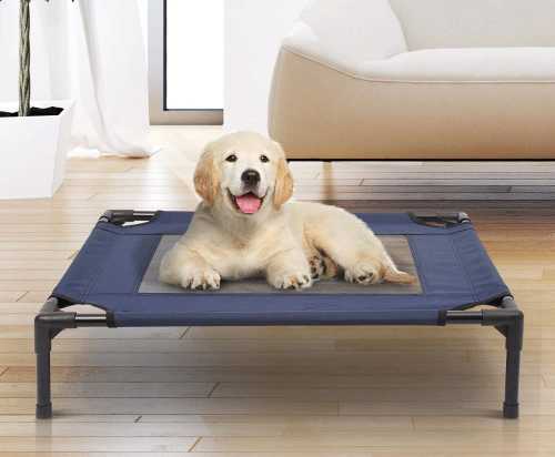 Cómo hacer una cam...:  2. La cama elevada protege al perro del suelo frío
