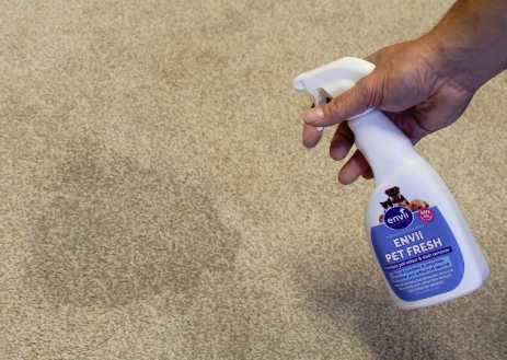 Cómo limpiar pis de perro en alfombra