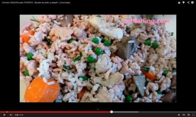 Cómo preparar arroz para perros
