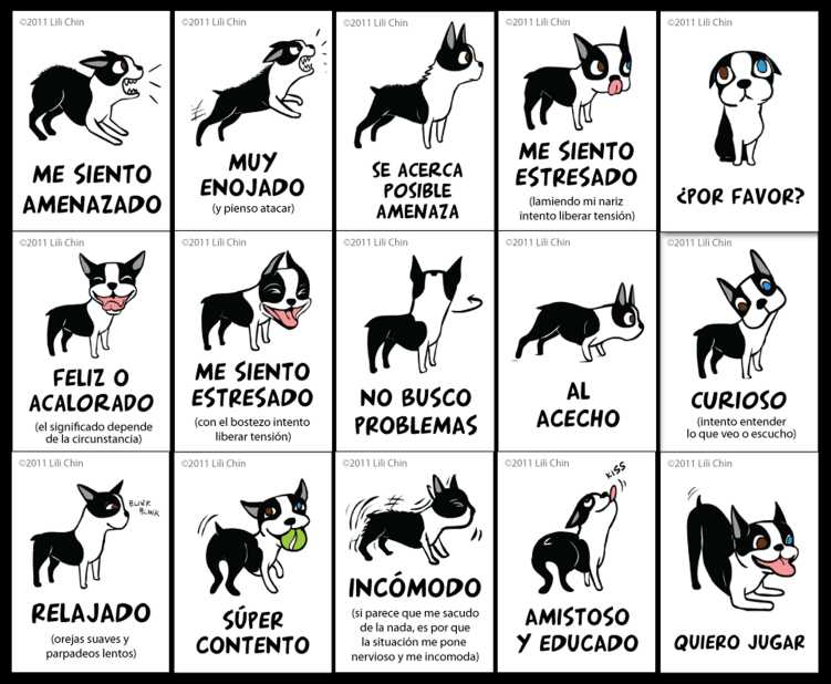 Cómo se comunican los perros